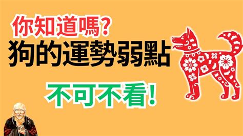 狗配什麼生肖|生肖狗性格優缺點、運勢深度分析、年份、配對指南